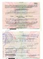 Справка об инвалидности